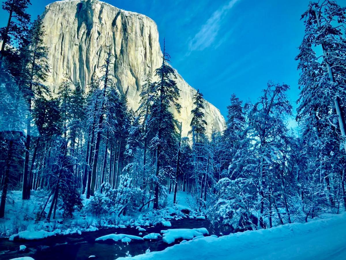 Yosemite Charm By Casa Oso With And Breathtaking Views Chalet Mariposa